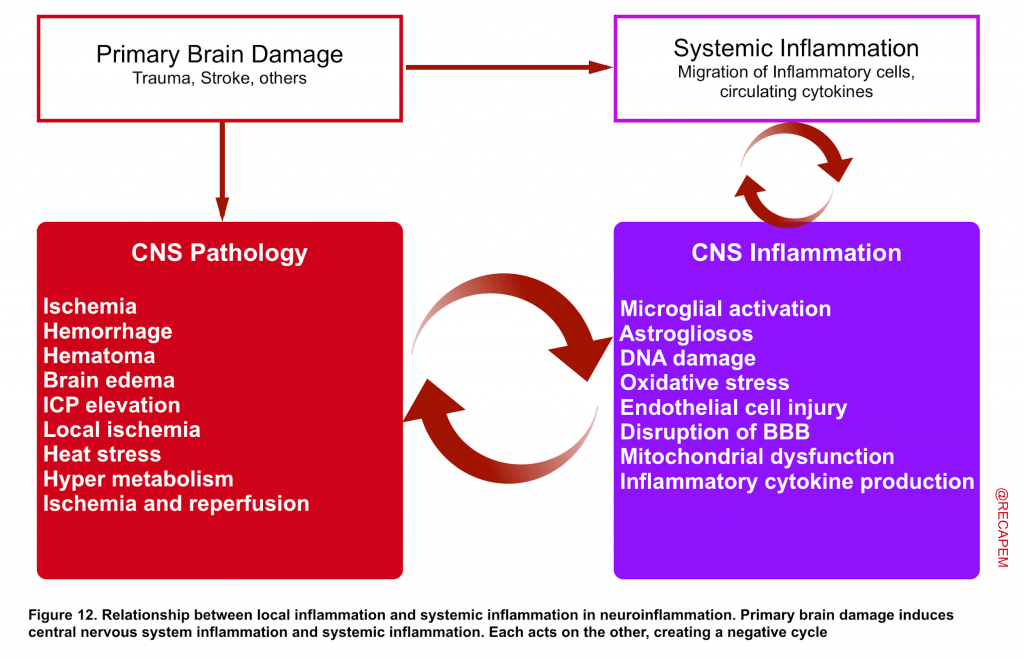 Secondary Brain Injury: Time Is The Brain | RECAPEM