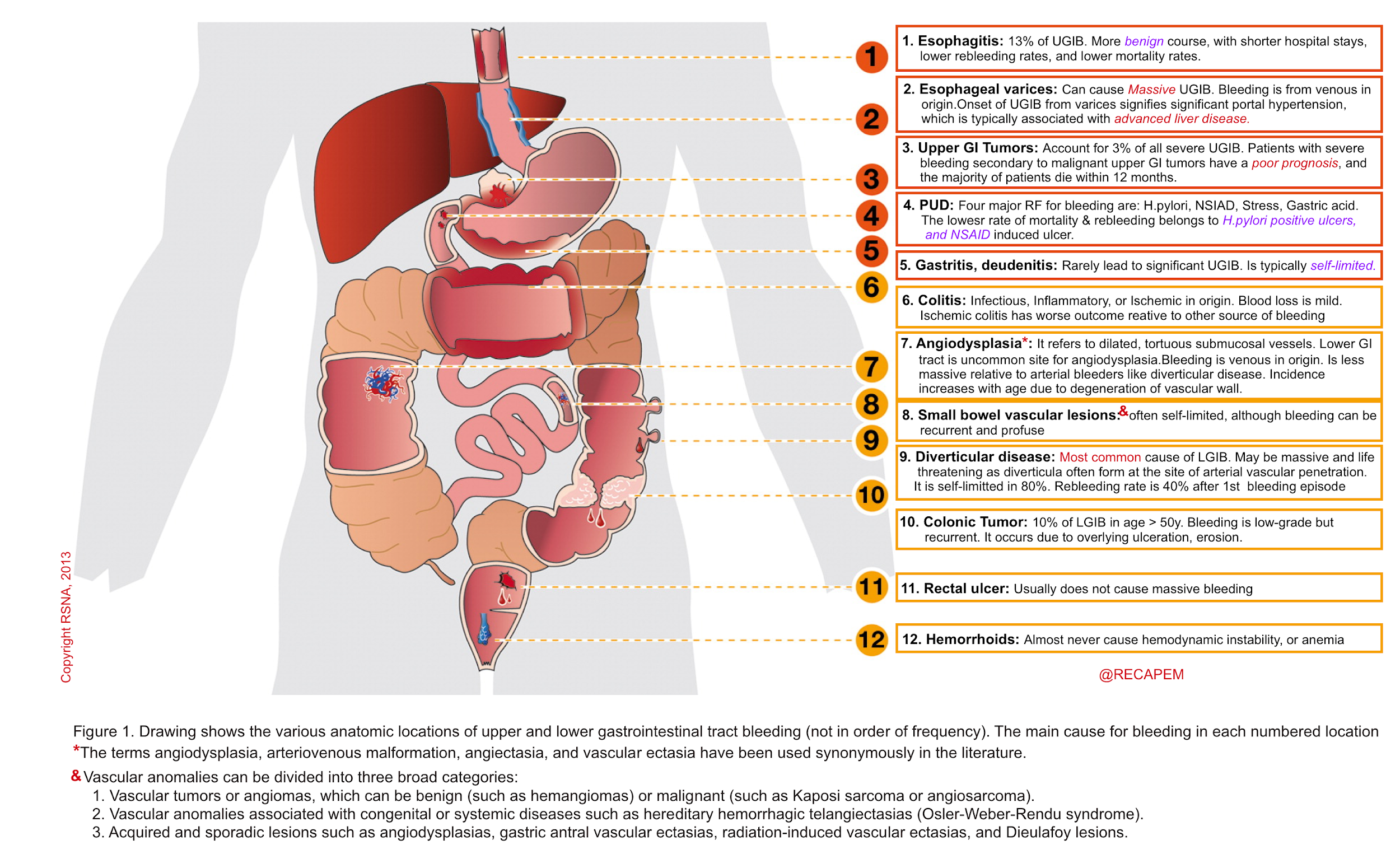 Gastrointestinal