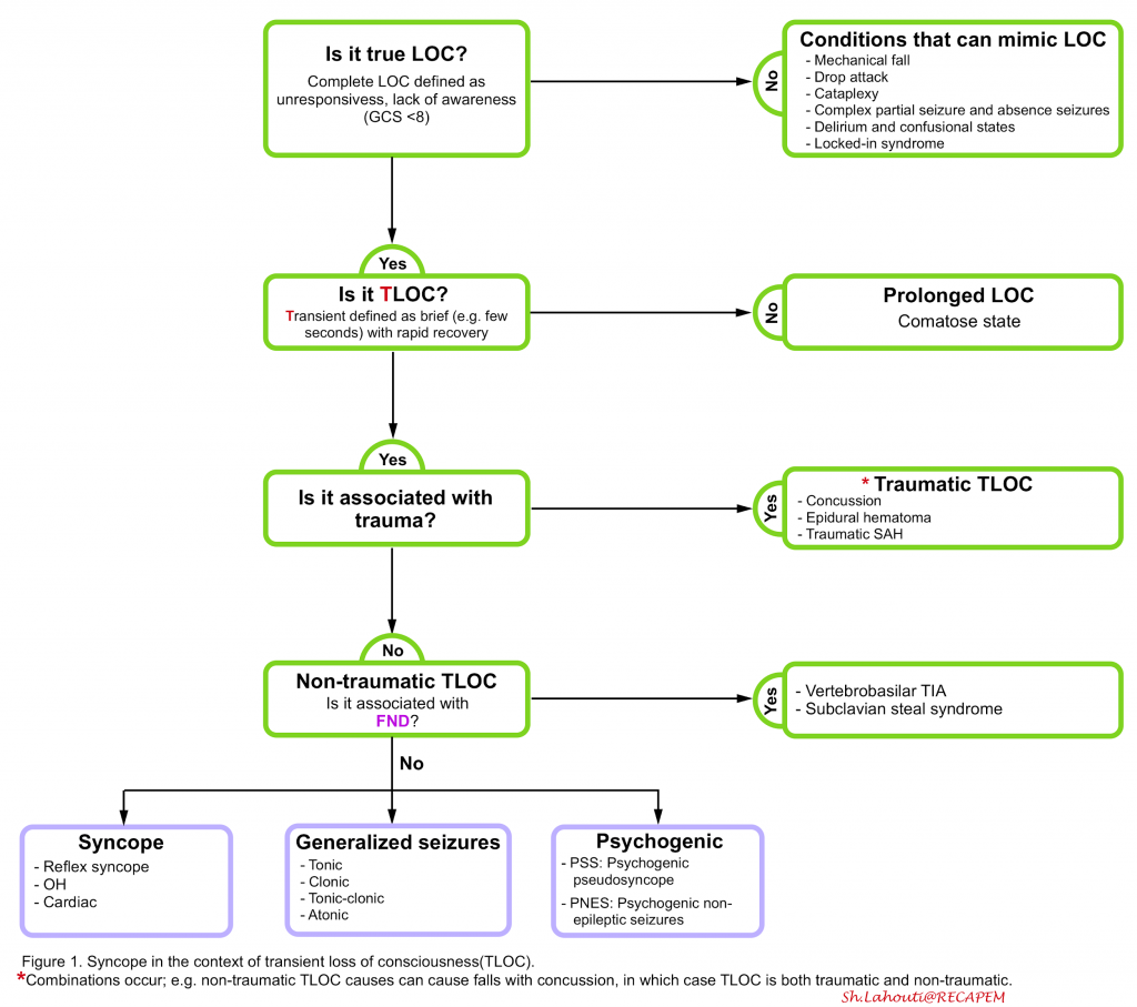 Syncope Approach To Diagnosis And Management Of Adult Syncope In The