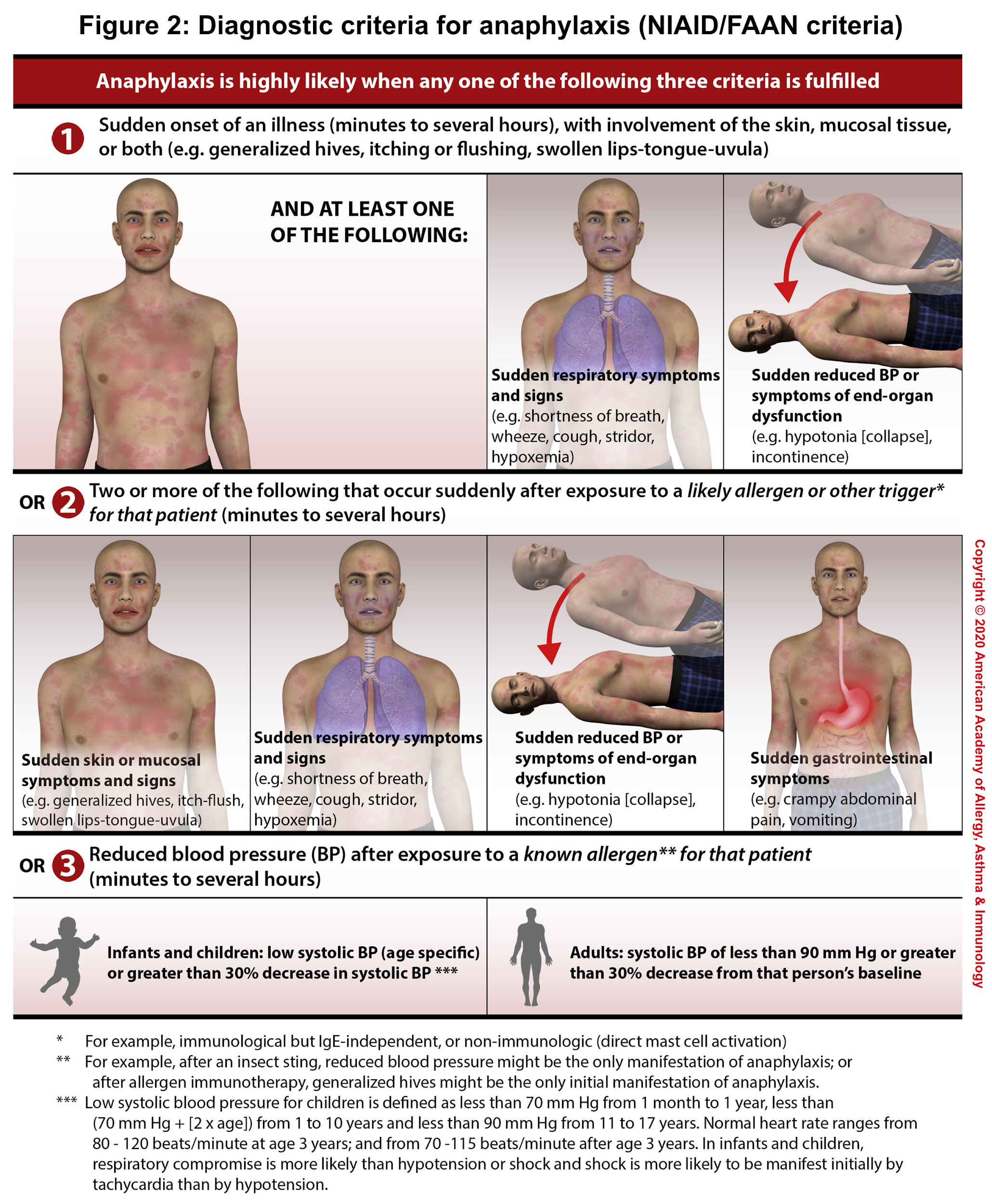 anaphylaxis rash