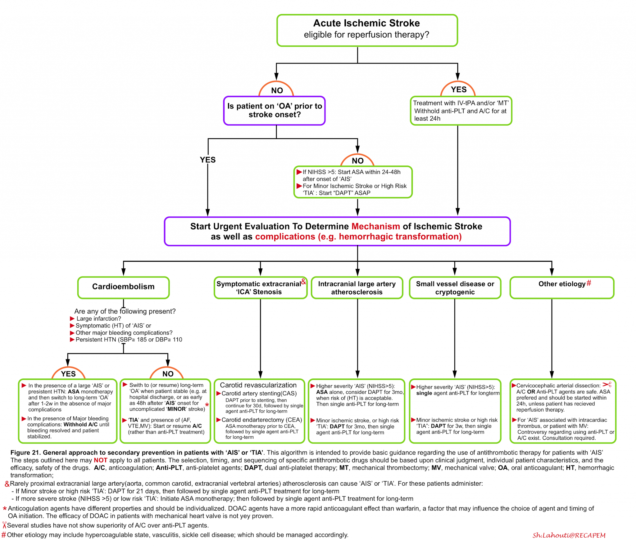 update-on-management-of-acute-ischemic-stroke-in-the-emergency