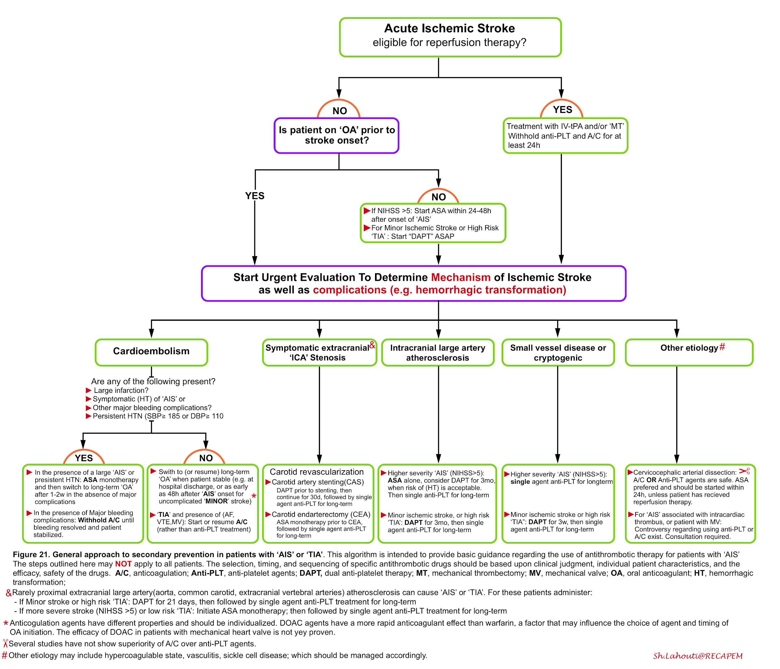 Update On Management Of Acute Ischemic Stroke In The Emergency 