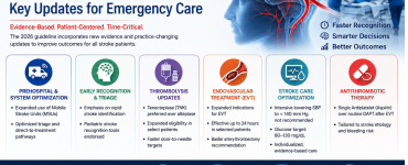 Management of Acute Ischemic Stroke 2026 guideline