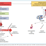 pulmonary embolism massive PE