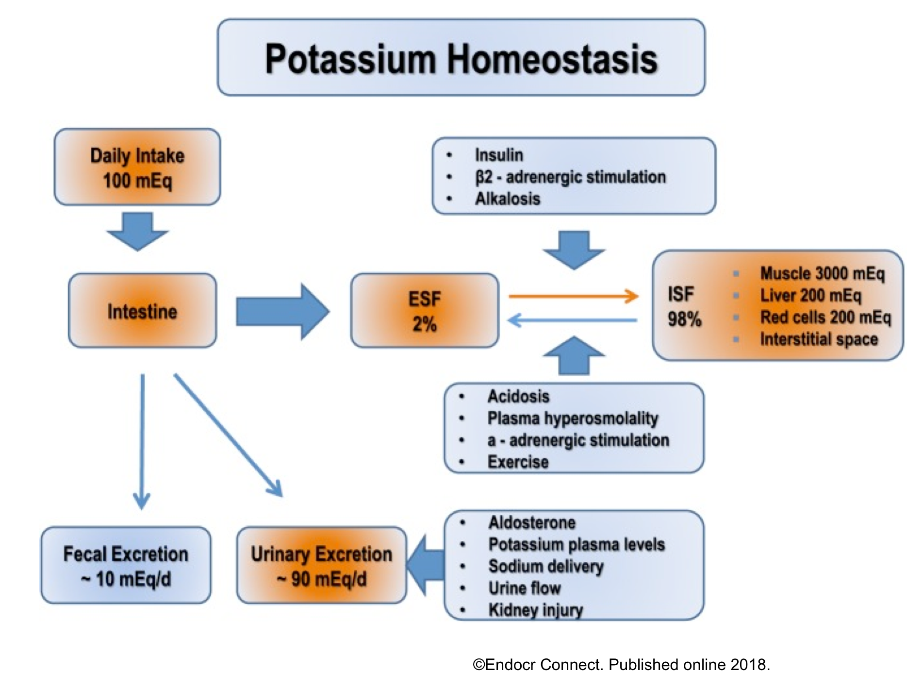 Six Steps to Controlling High Potassium