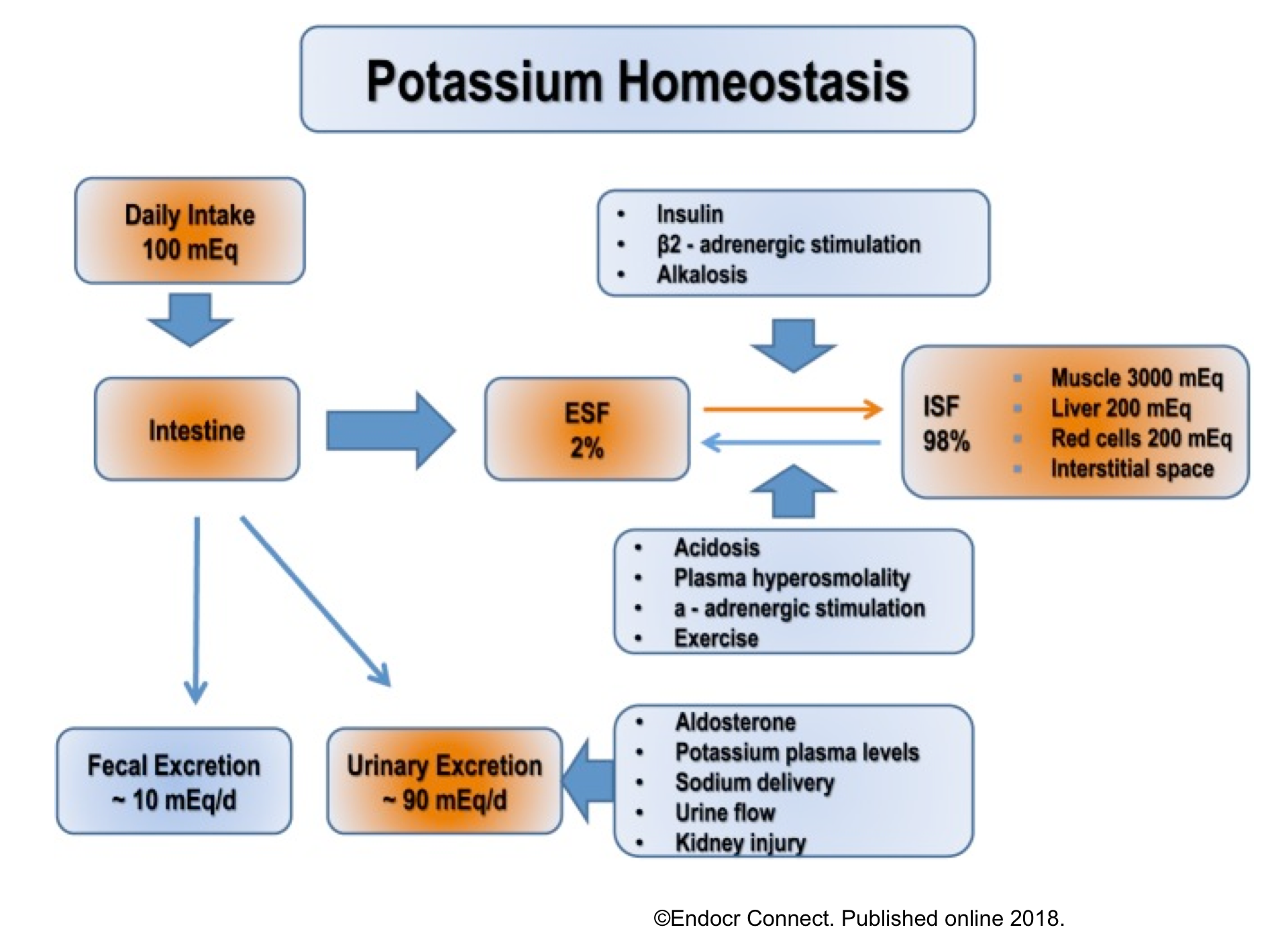 Hypokalemia Emergency Management RECAPEM