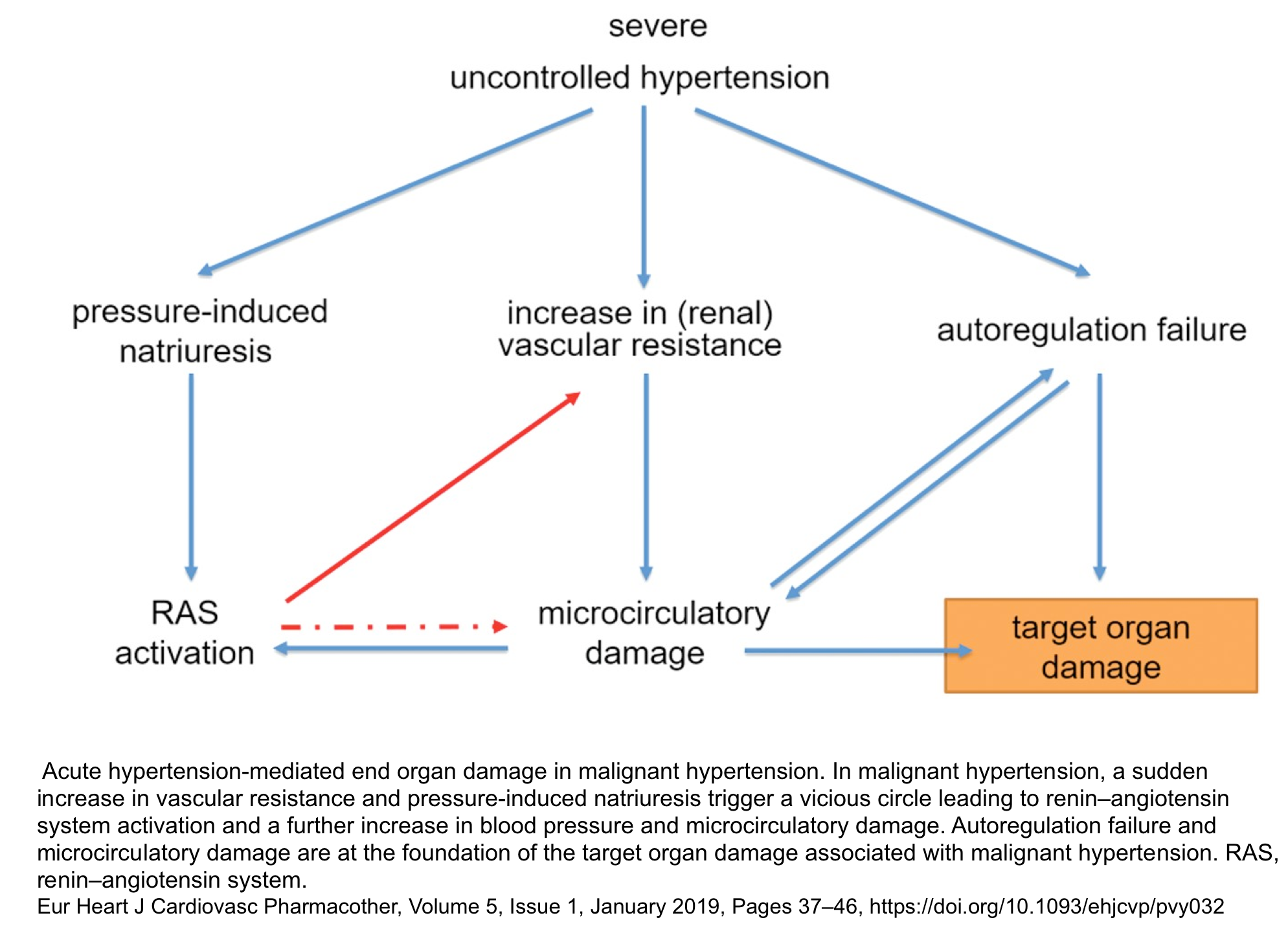 hypertensive-emergency-recapem