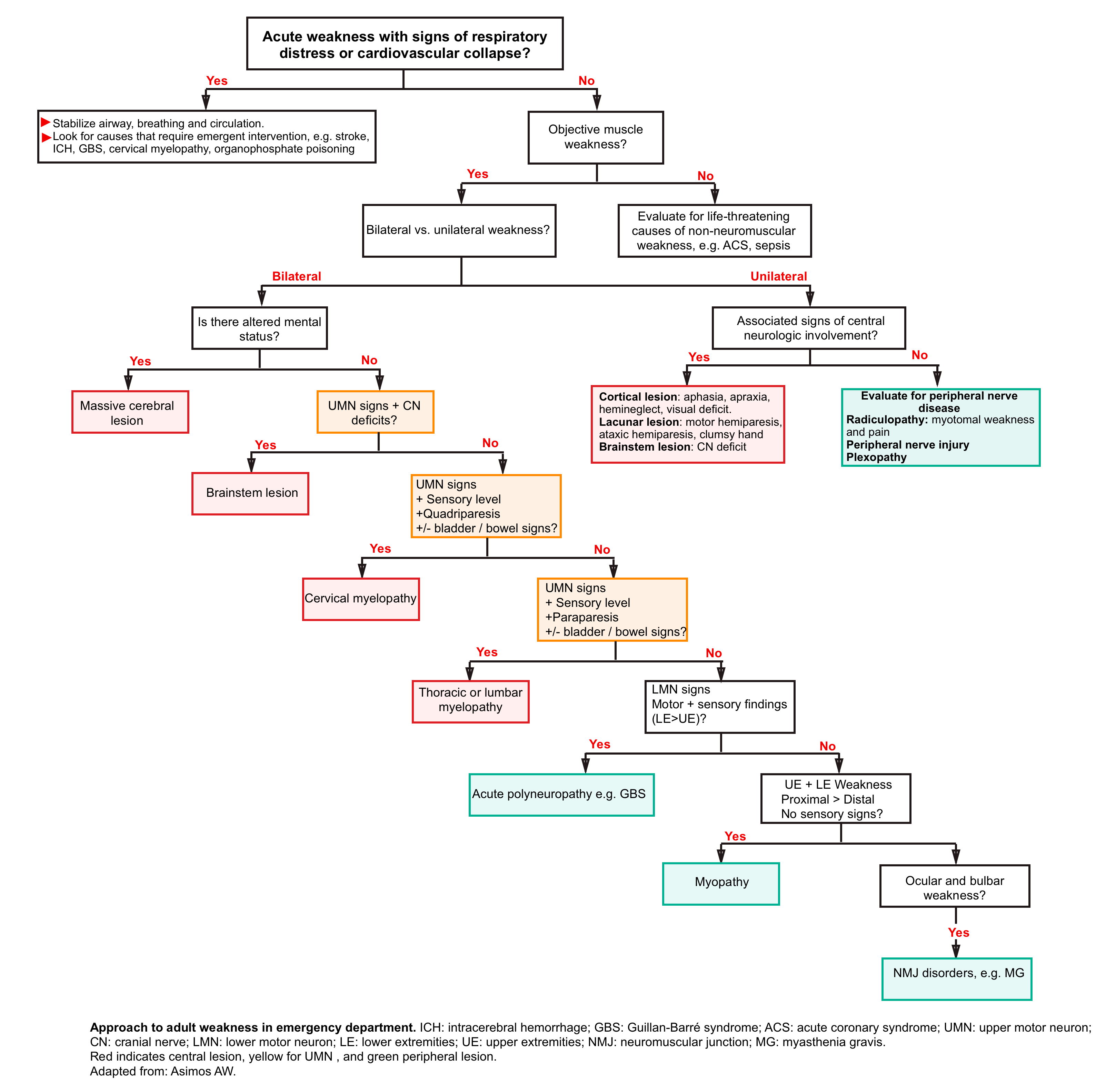 causes-of-bilateral-upper-motor-neuron-lesion-webmotor