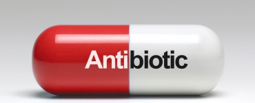 Antibiogram