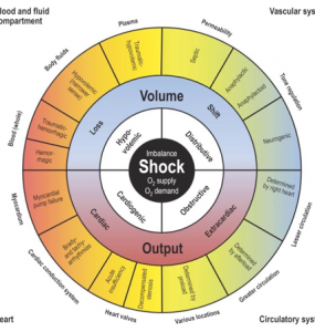 Approach to shock