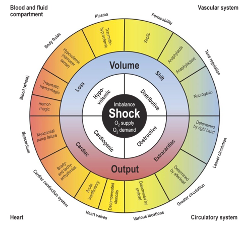 Approach to shock