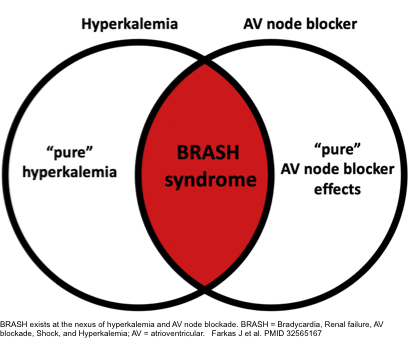 BRASH syndrome pathophysiology