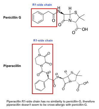 Penicillin g beta lactam