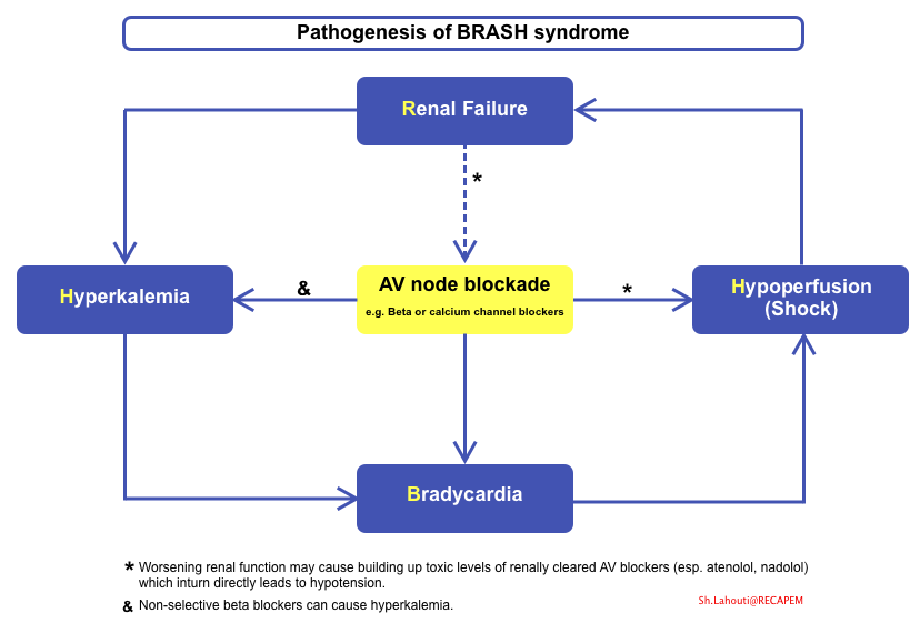 brash-syndrome-recapem