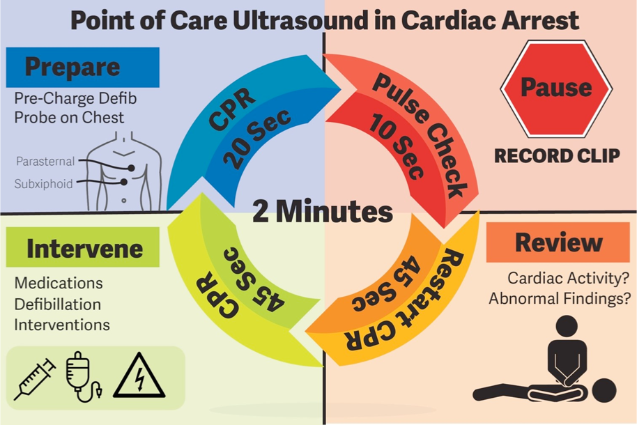 Resuscitation: E-FAST or CT? •