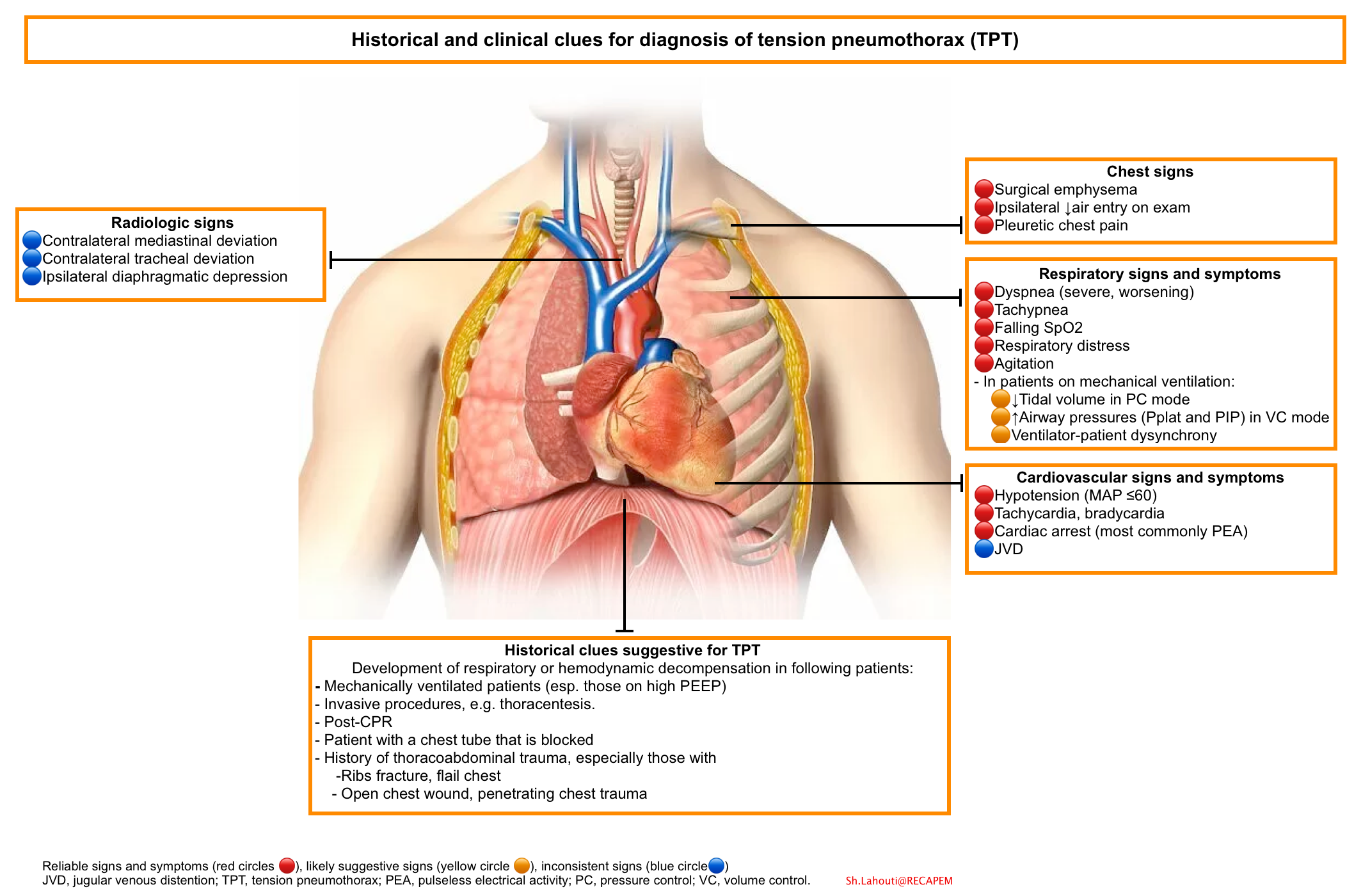 Pneumothorax In Emergency Department RECAPEM