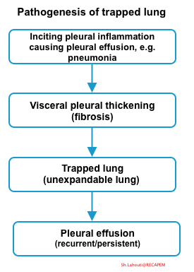 pleural effusion pathophysiology