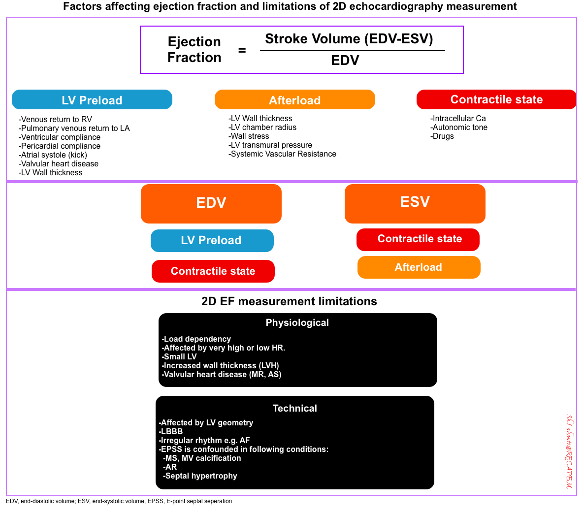 Role of echocardiography in diagnosis and risk stratification in heart  failure with left ventricular systolic dysfunction, Cardiovascular  Ultrasound