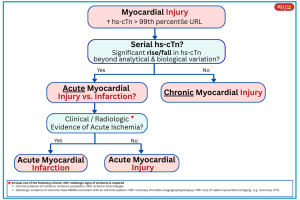 OCCLUSIVE MYOCARDIAL INFARCTION