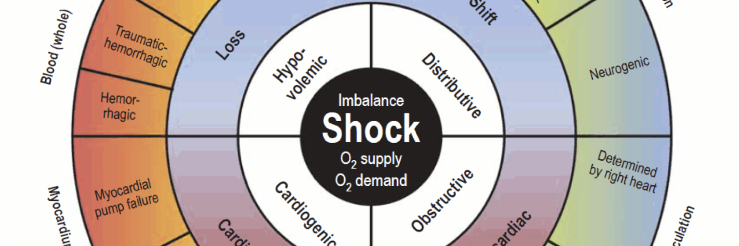 shock in emergency department