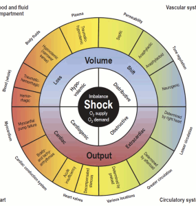 shock in emergency department